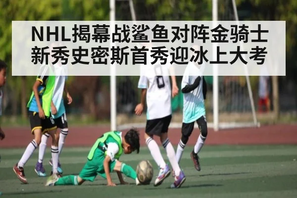 NHL揭幕战鲨鱼对阵金骑士 新秀史密斯首秀迎冰上大考